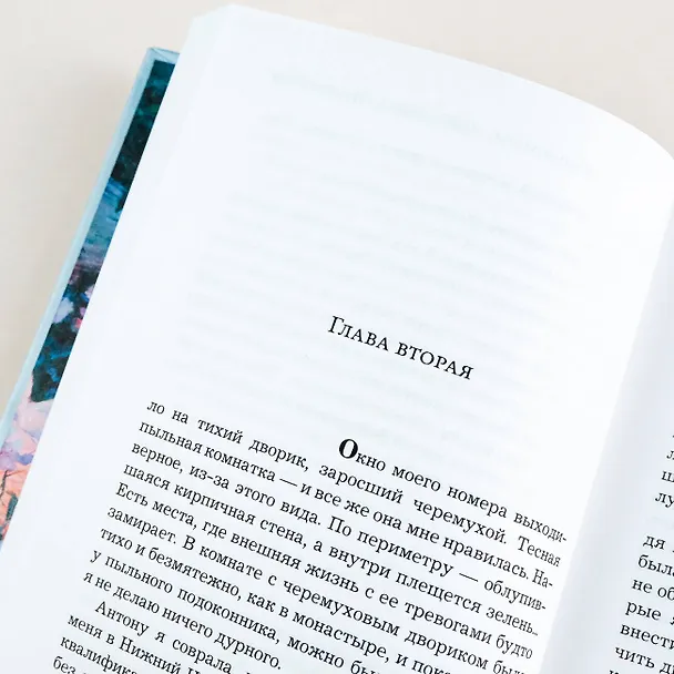 Книга Посмотри, отвернись, посмотри (Елена Михалкова) — 10