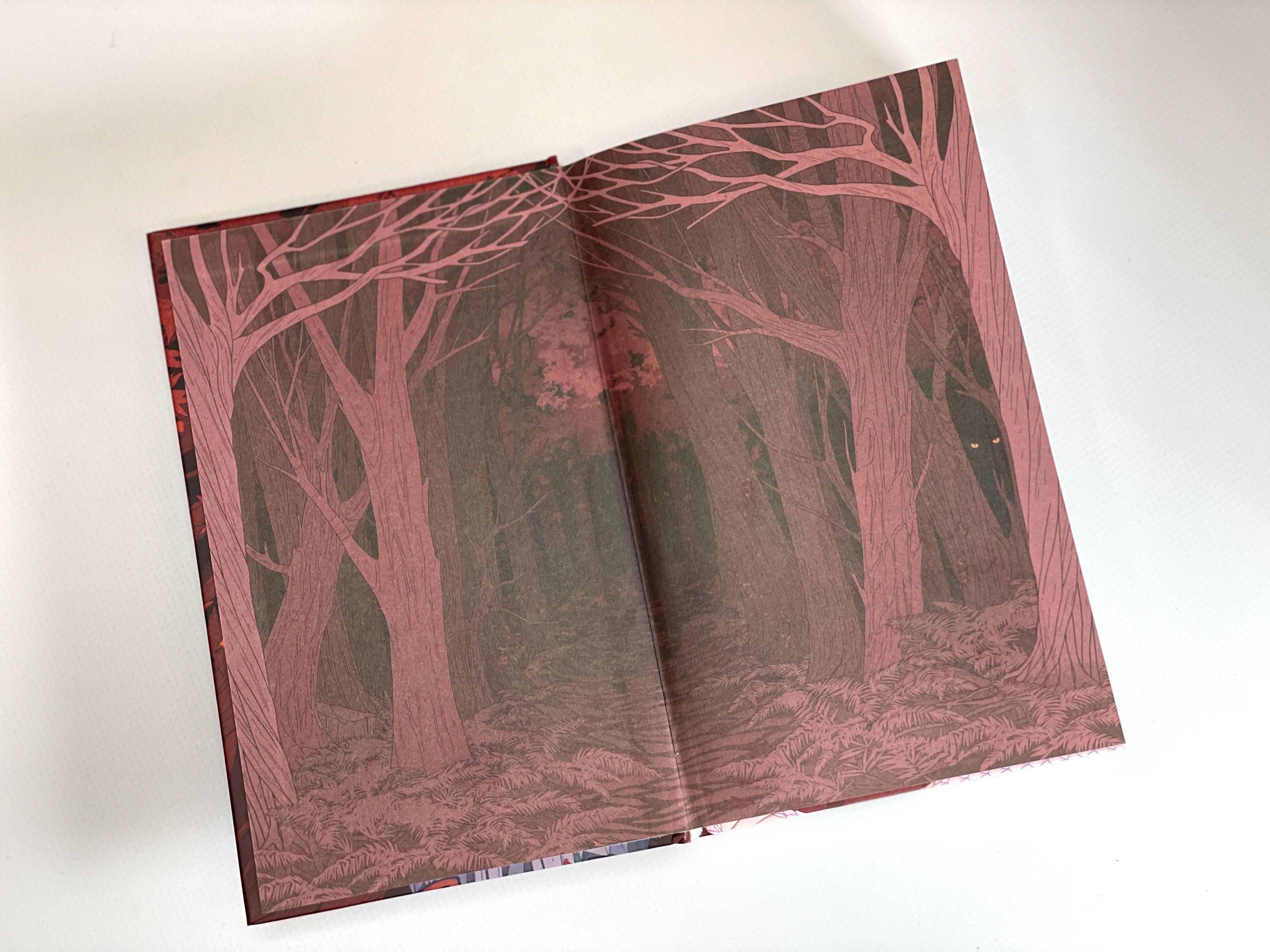 Изображение бумажной книги