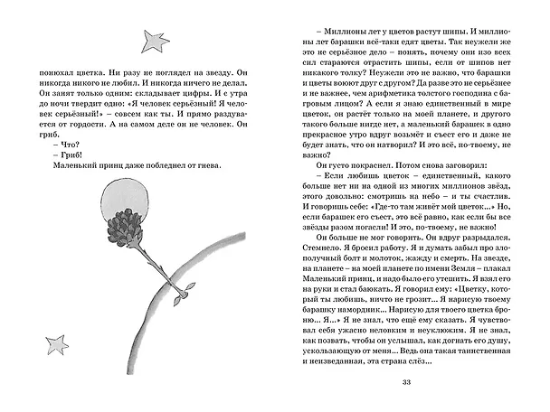 Книга Маленький принц (Антуан де Сент-Экзюпери) — 12