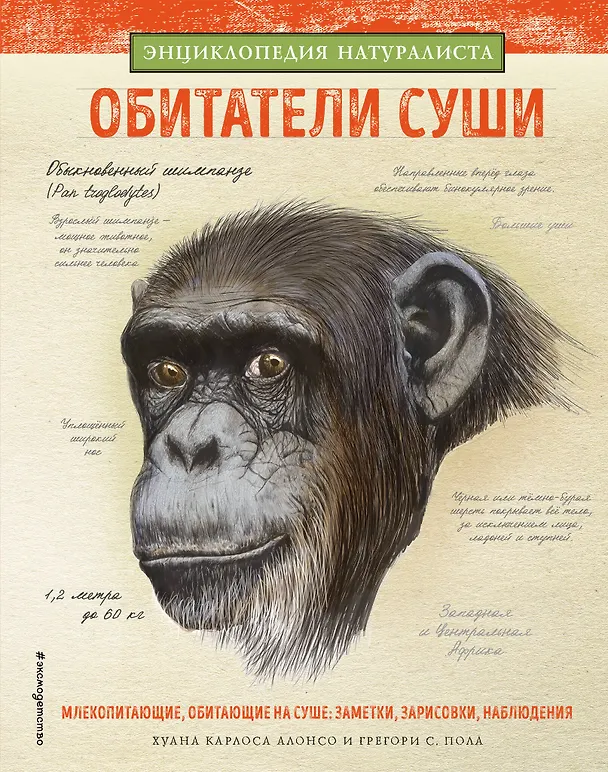 Книга Обитатели суши (Хуан Алонсо) — 1