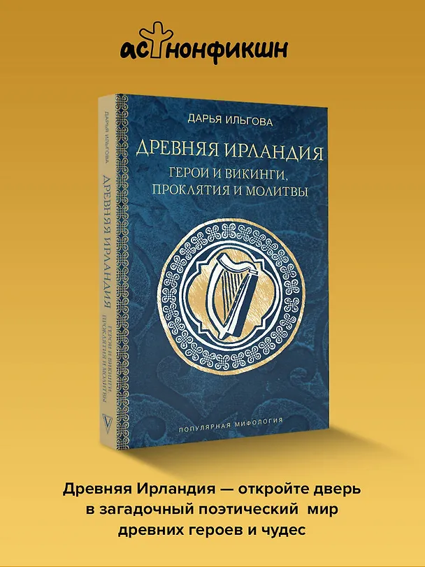 Книга Древняя Ирландия: герои и викинги, проклятия и молитвы (Дарья Ильгова) — 7