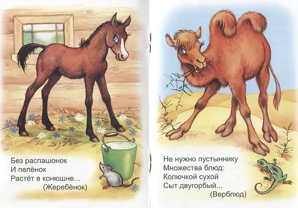 Книга В Ледовитом океане (Владимир Кремнев) — 4