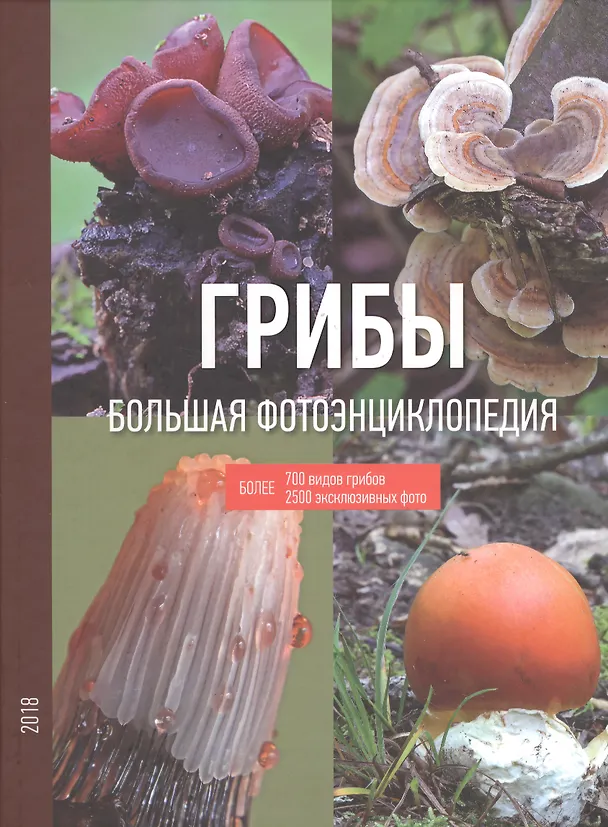 Книга Грибы Большая фотоэнциклопедия. Более 700 видов грибов 2500 эксклюзивных фото () — 1