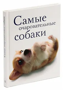 Самые очаровательные собаки