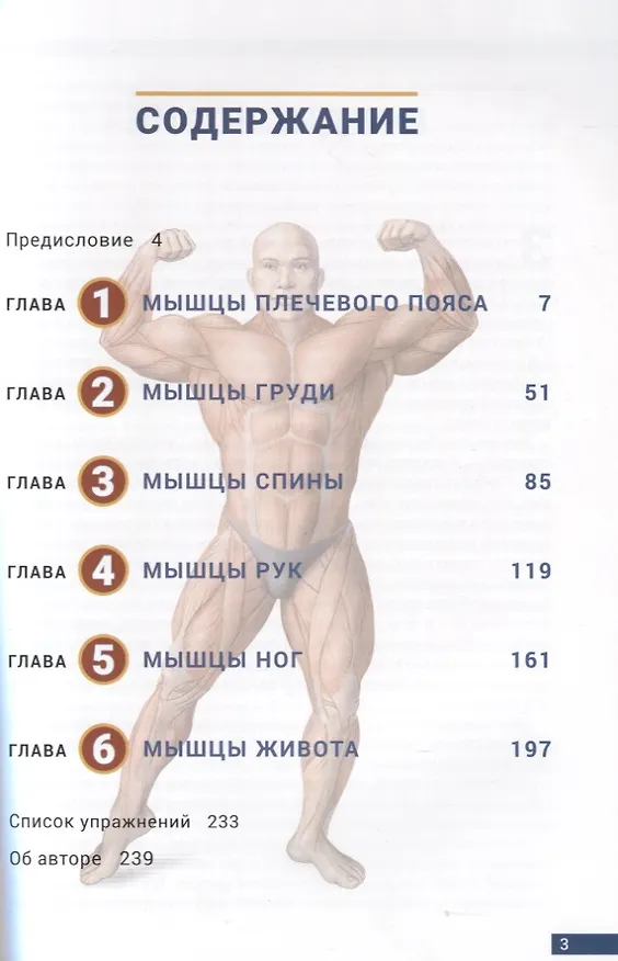 Книга Анатомия бодибилдинга (Николас Эванс) — 2
