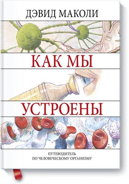 

Как мы устроены