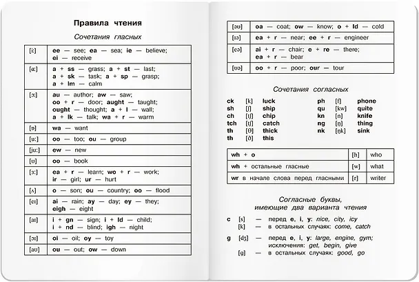 Тетрадь для записи английских слов «Веселые буквы», 24 листа в крупную линейку, А5 - Airis 243842 — 3