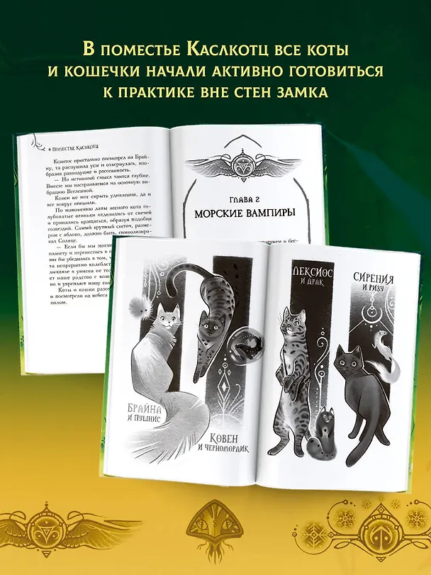 Книга Поместье Каслкотц. Время туманов (Ален Т. Пюиссегюр) — 7