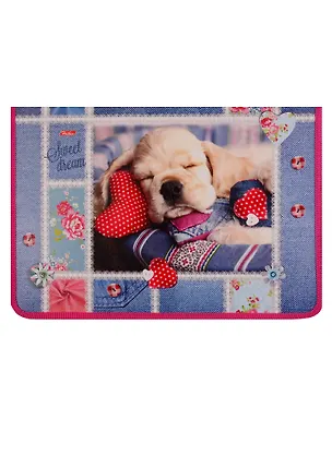 Папка для тетрадей А4 "Сони" молния с трех сторон, откид.планка, инд.уп. 250172