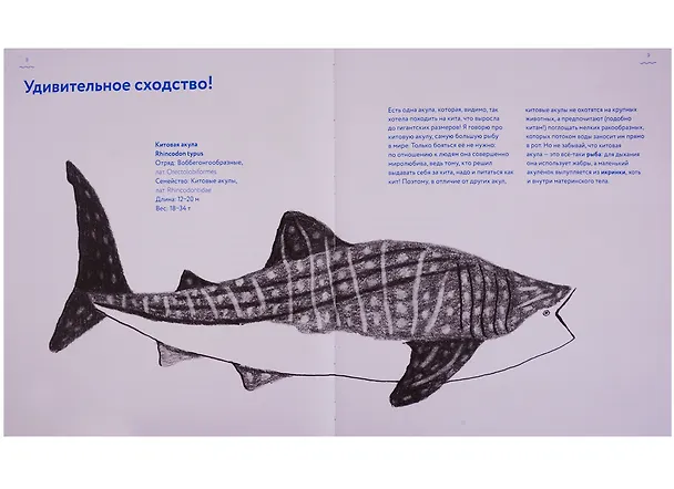 Книга Книга о китах () — 4