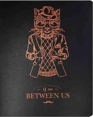 Тетрадь в клетку Asac, Fashion cat, B5, 46 листов 239838