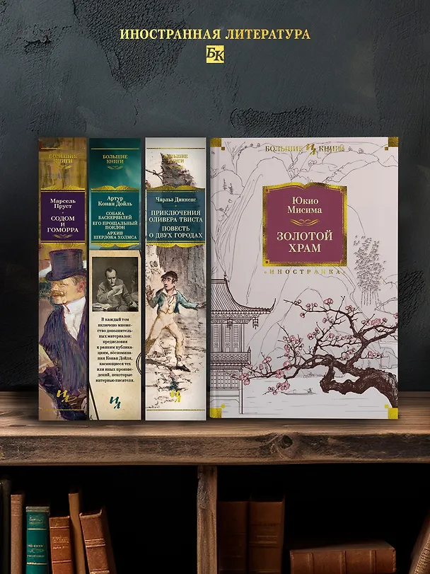 Книга Золотой Храм (Юкио Мисима) — 8