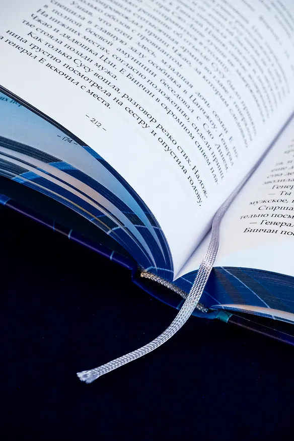 Книга Светлый пепел луны. Книга 2. Новелла (коллекционное издание) (Тэнло Вэйчжи) — 17