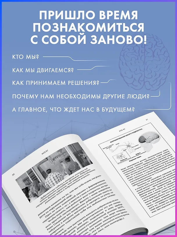 Книга Мозг. Ваша личная история (Дэвид Иглмен) — 7