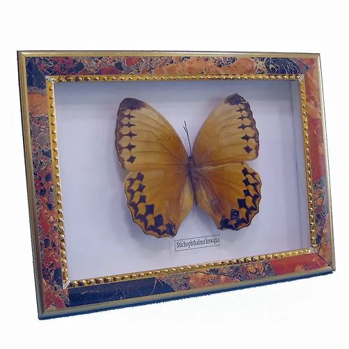 Панно Бабочки, 15х20см (101031) 2393947 — 1