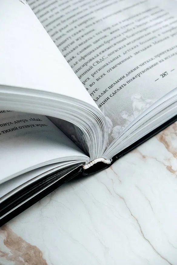 Книга Мой темный Ромео (Л.Дж. Шэн, Паркер С. Хантингтон) — 12