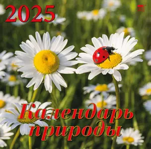 Календарь 2025г 300*300 "Календарь природы" настенный, на скрепке — 3053395 — 1