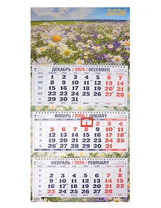 Календарь квартальный 2026г 310*680 "Солнечная поляна" настенный, трёхблочный, спираль