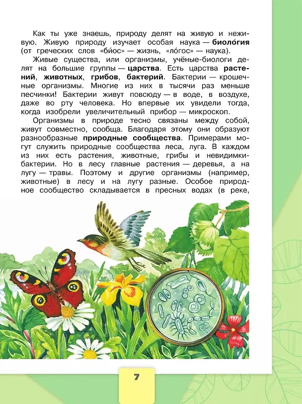 Книга Окружающий мир. 3 класс. Учебник. В 2-х частях. Часть 1 (Андрей Плешаков) — 6