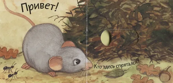Книга Кто где живет? (Анна Таубе) — 3