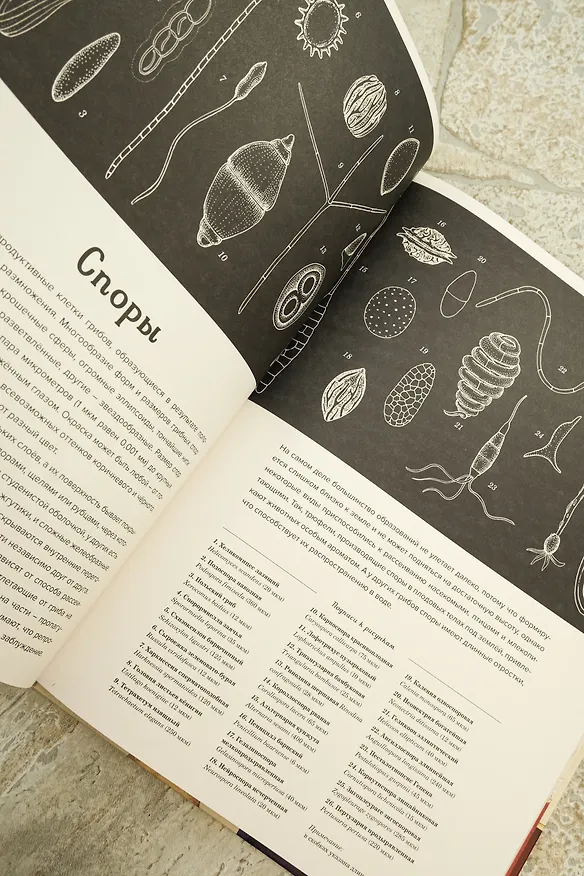 Книга Грибариум (Дэвид Л. Хауксворт, Лора М. Сьюз, Пепейн В. Кой, Каре Лиматайнен) — 10