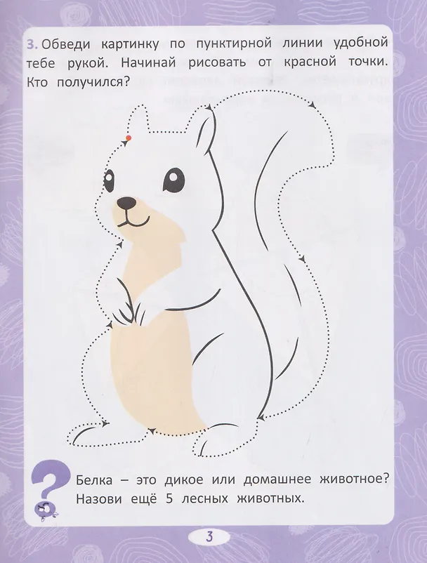 Книга Нейропрописи. Межполушарное развитие. Шаг 2 (Мария Тарадайко) — 4