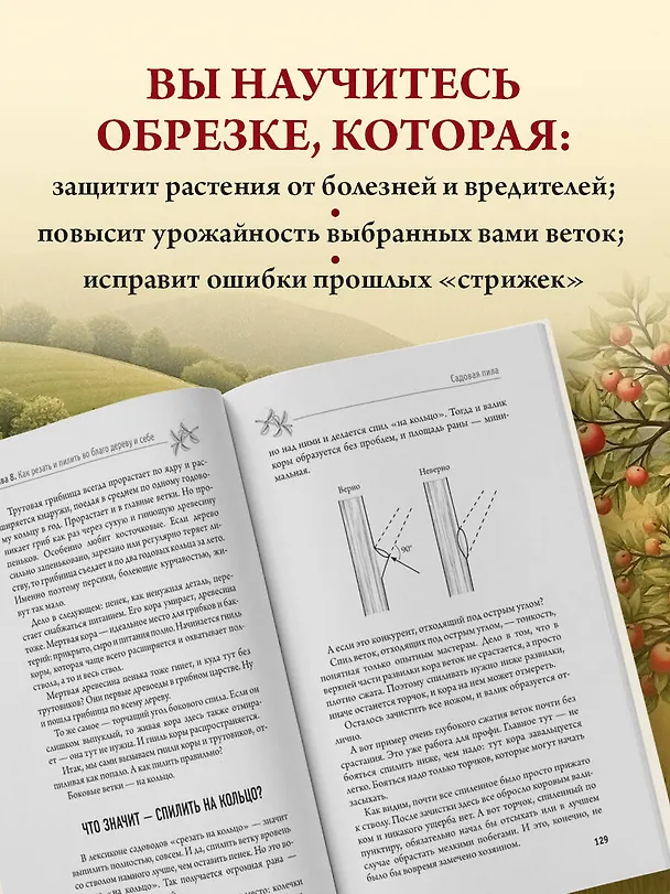 Книга Обрезка и формировка деревьев и кустарников (Николай Курдюмов) — 8
