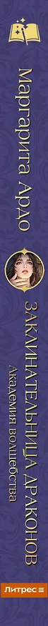 Книга Заклинательница драконов. Академия волшебства (Маргарита Ардо) — 4