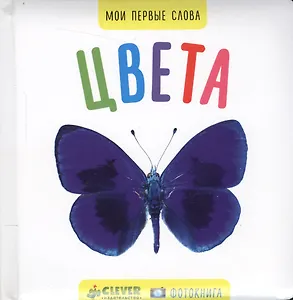 Мои первые слова. Фото-книга. Цвета МИНИ