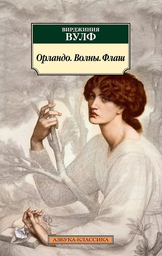 Книга Орландо. Волны. Флаш (Вирджиния Вулф) — 1