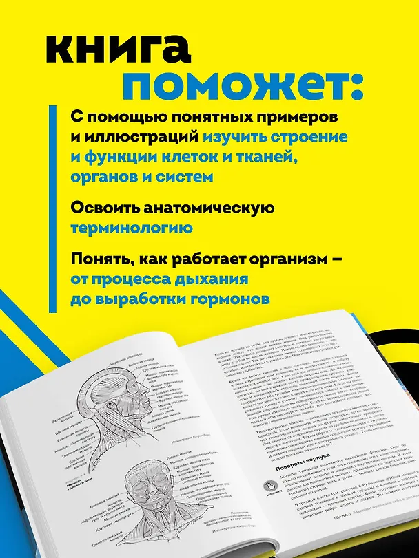 Книга Анатомия и физиология для чайников (Эрин Одья, Мэгги Норрис) — 7