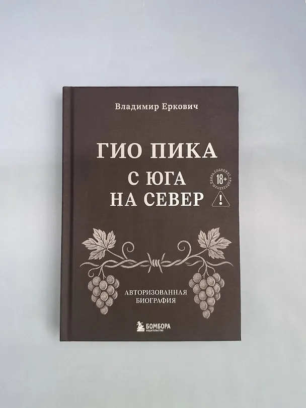 Книга Гио Пика: с юга на север. Авторизованная биография (Владимир Еркович) — 14