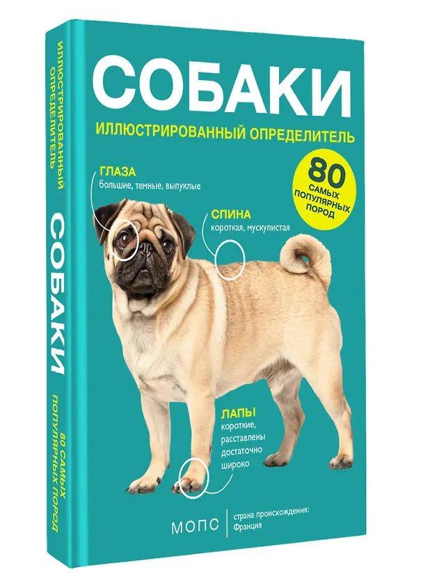 Книга Собаки. 80 самых популярных пород. Иллюстрированный определитель (Ирина Барановская) — 4