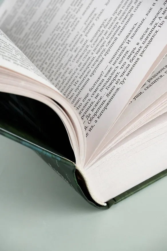 Книга По волчьему следу (Карина Демина) — 12