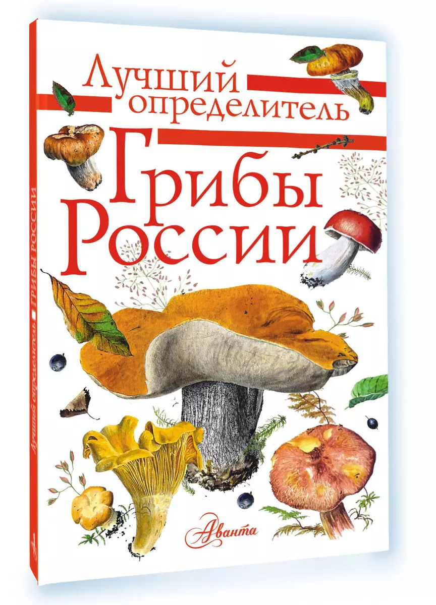 Грибы России. Определитель (Станислав Кривошеев) - купить книгу с доставкой  в интернет-магазине «Читай-город». ISBN: 978-5-17-123028-9