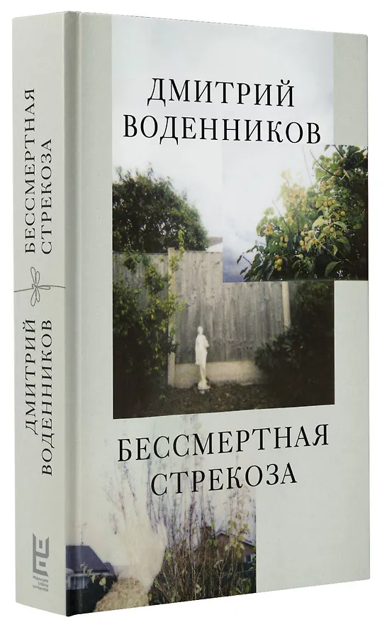 Книга Бессмертная стрекоза (Дмитрий Воденников) — 7