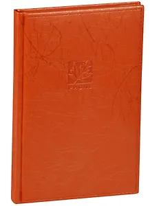 Алфавитная книга А5 80 листов "SCRIBBLE" оранжевая