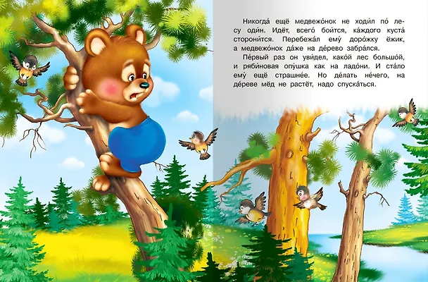Книга Сказка про медвежонка (Ольга Дмитриева) — 3