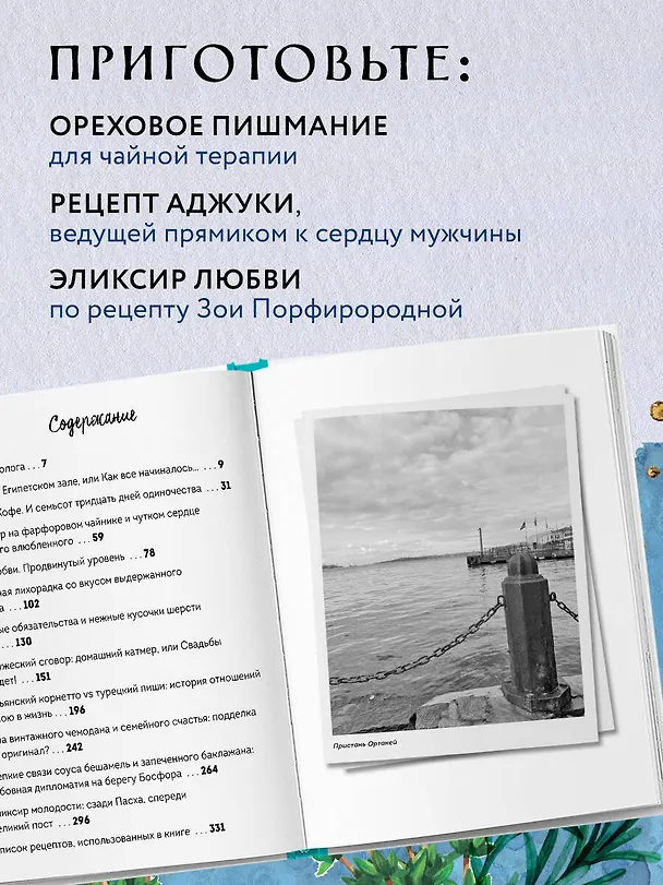 Книга Любовь по-стамбульски. Сердечные авантюры в самом гастрономическом городе (Э. Исмаилова) — 7