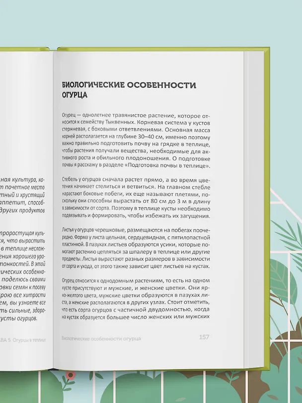 Книга Теплица без ошибок. Все, что нужно знать, чтобы получить ранний и богатый урожай (Виктория Радзевская) — 13