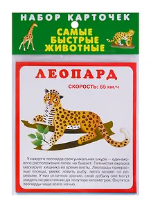 Набор карточек "Самые быстрые животные"