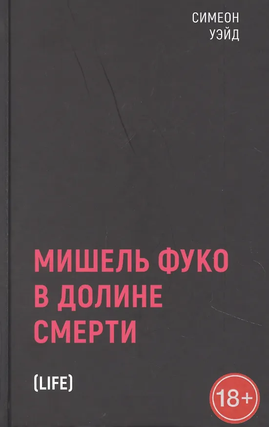 Книга Мишель Фуко в Долине Смерти (Сара Уэйд) — 1