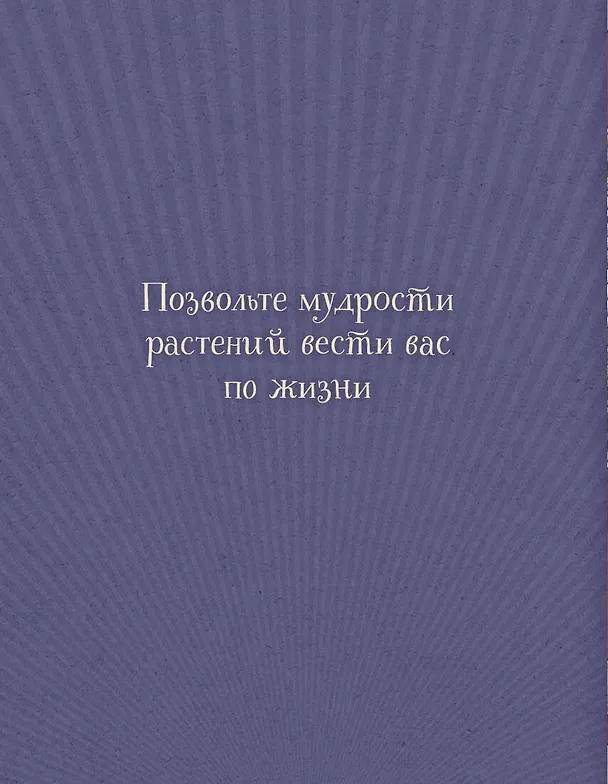Книга Магический гербарий. 36 карт с посланиями от волшебных растений (Оракул. 36 карт и руководство в коробке) (М. Толл) — 2