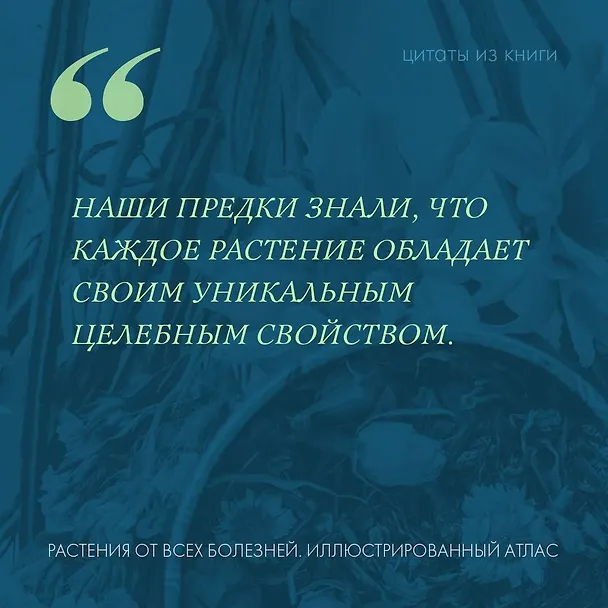 Книга Растения от всех болезней. Иллюстрированный атлас () — 6