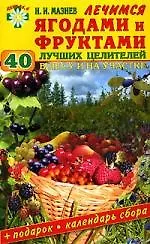 Лечимся ягодами и фруктами: 40 лучших целителей в лесу и на участке