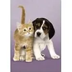 ИГР Cleentoni Оригами Пазл 260эл. Disney/Дисней Минни Маус  21131