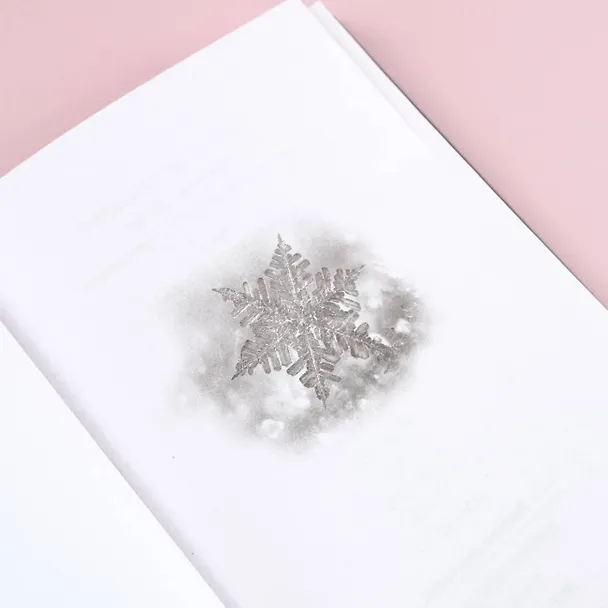 Книга Ночь Огня (Пенелопа Дуглас) — 9