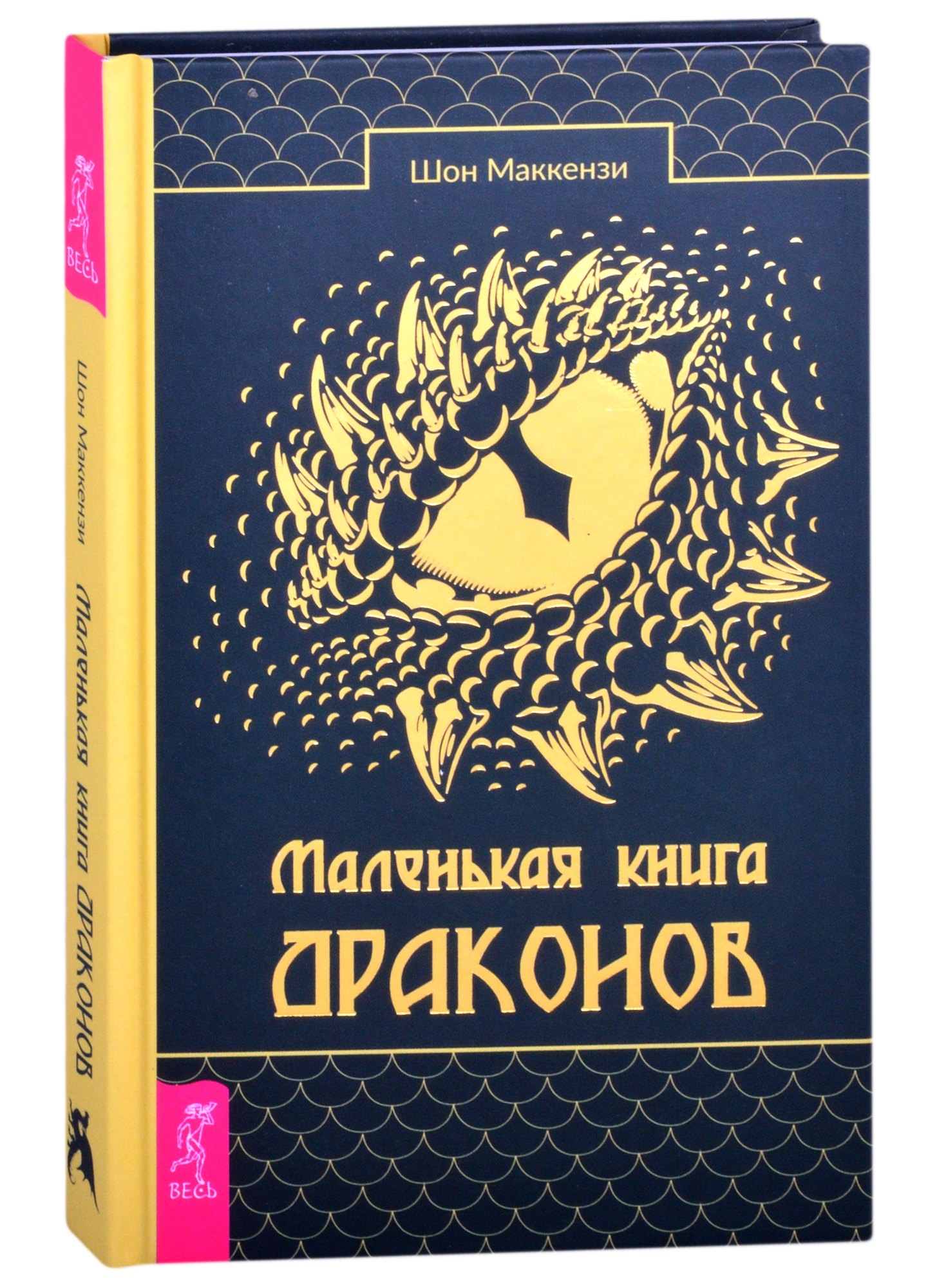 

Маленькая книга драконов