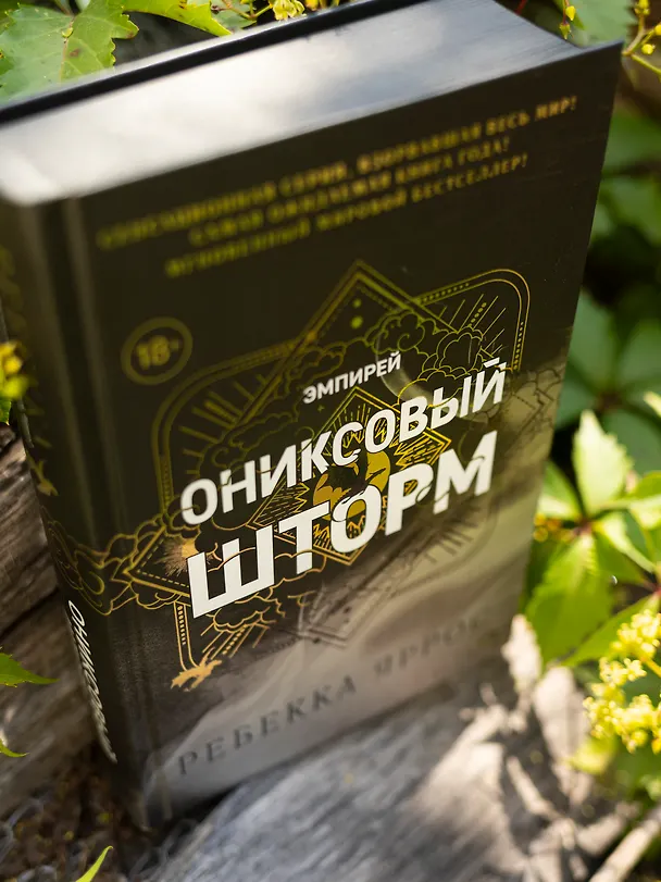 Книга Ониксовый шторм (черный обрез) (Ребекка Яррос) — 10