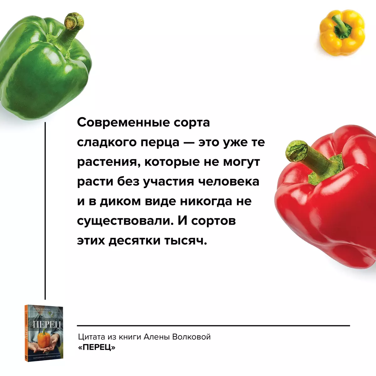 Перец. Выращиваем, ухаживаем и едим (Алёна Волкова) - купить книгу с  доставкой в интернет-магазине «Читай-город». ISBN: 978-5-17-157296-9